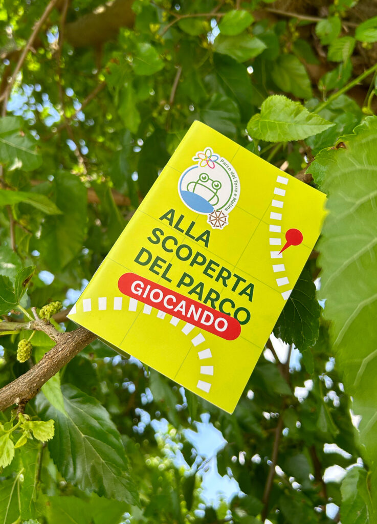 Immagine per Alla scoperta del parco giocando